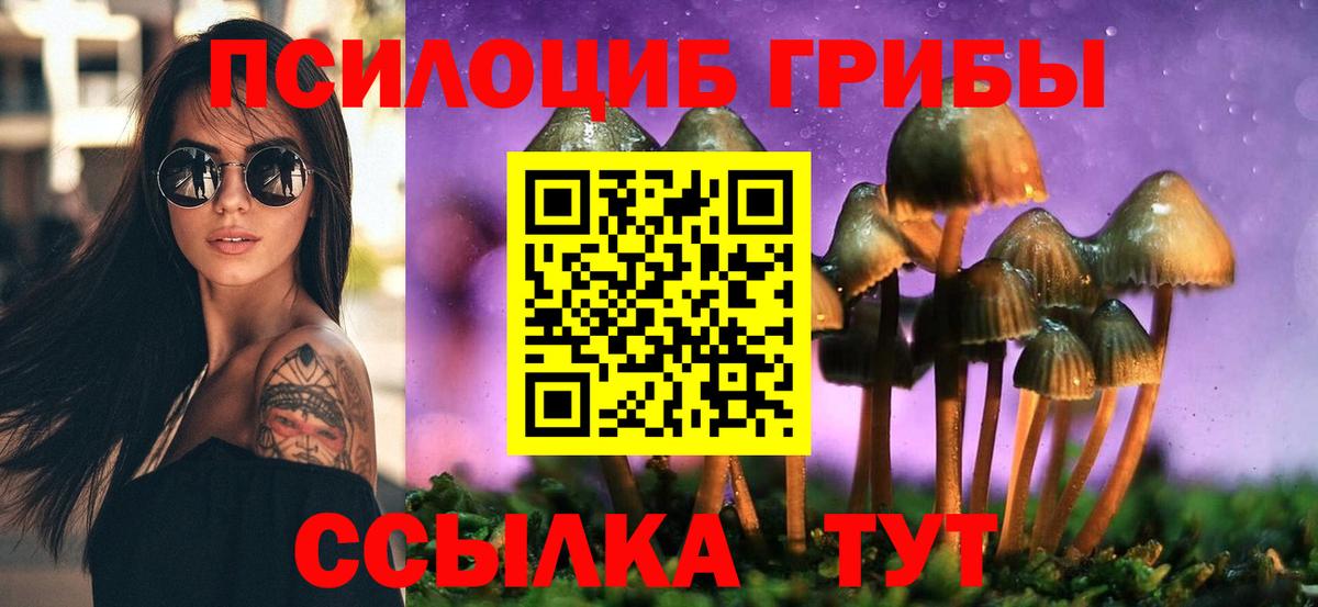 Псилоцибиновые грибы Cubensis  Псилоцибиновые грибы MAGIC MUSHROOMS  Псков  Вход с VPN 