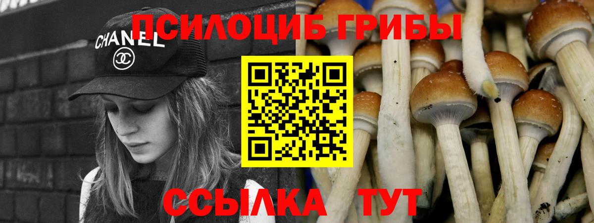 Галлюциногенные грибы Cubensis Псков